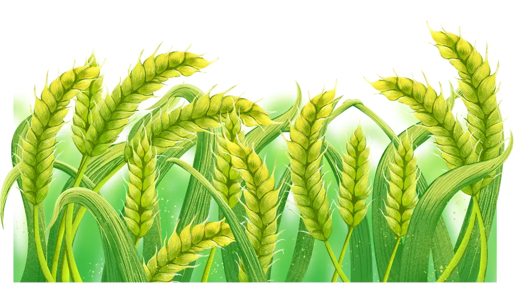 测试vivo X300 Pro Fotoğrafçılık Kiti Default Value_3