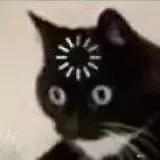 测试库存12